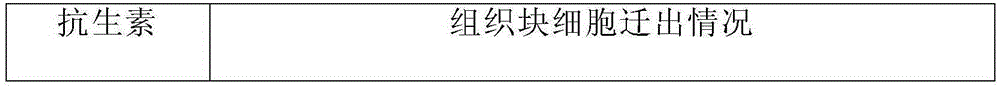 Sinocyclocheilus anshuiensis spleen cell line construction method