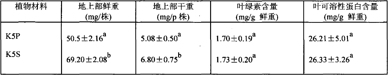 Device for screening and culturing of transgenic arabidopsis seedlings in situ and application thereof