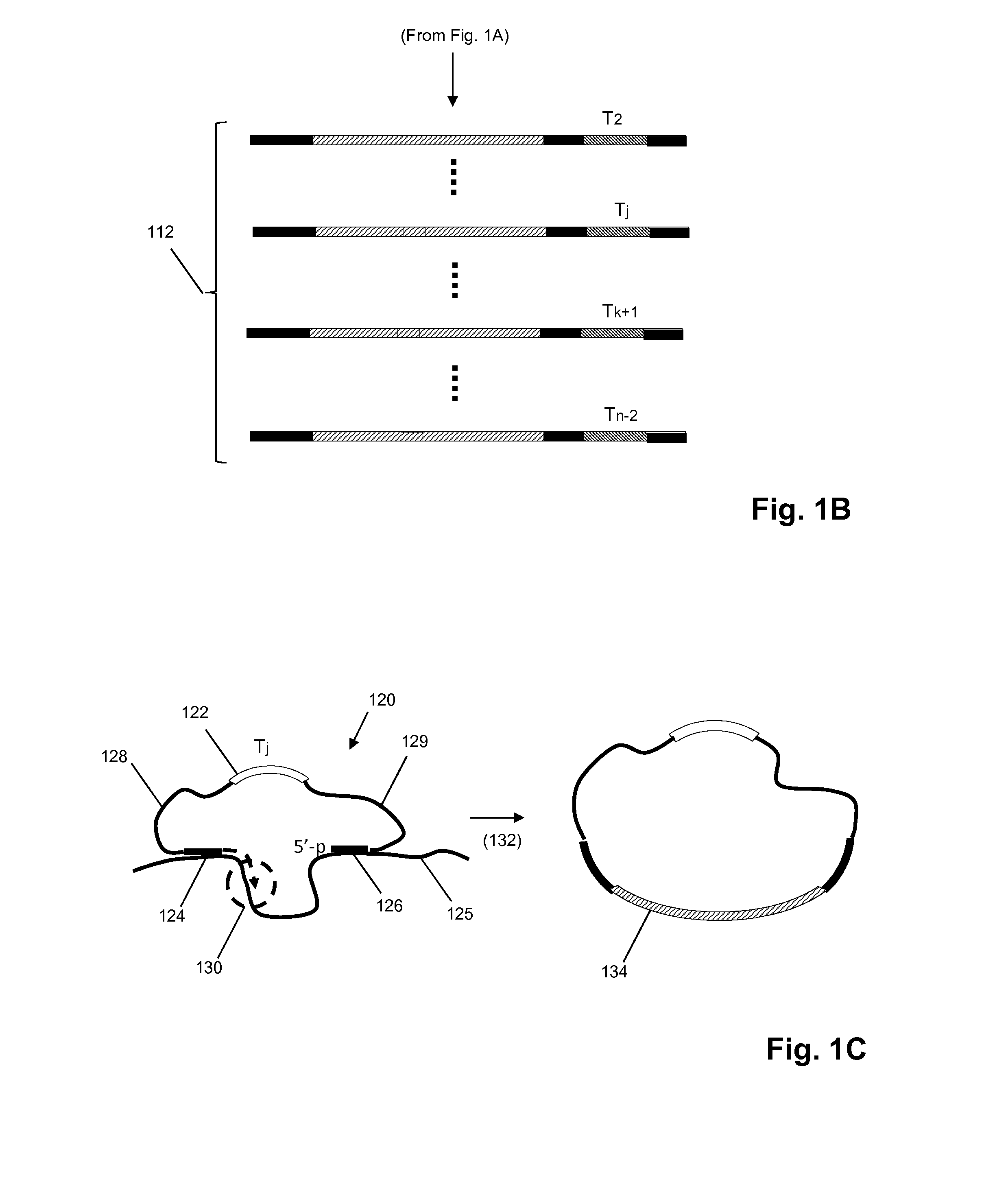 High sensitivity mutation detection using sequence tags