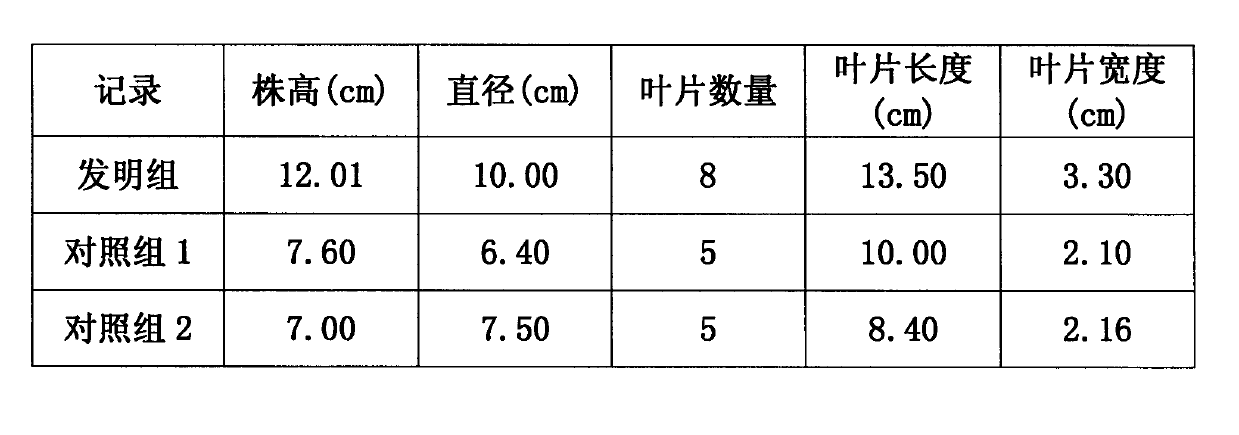 Hydroponic nutrient solution of water spinach