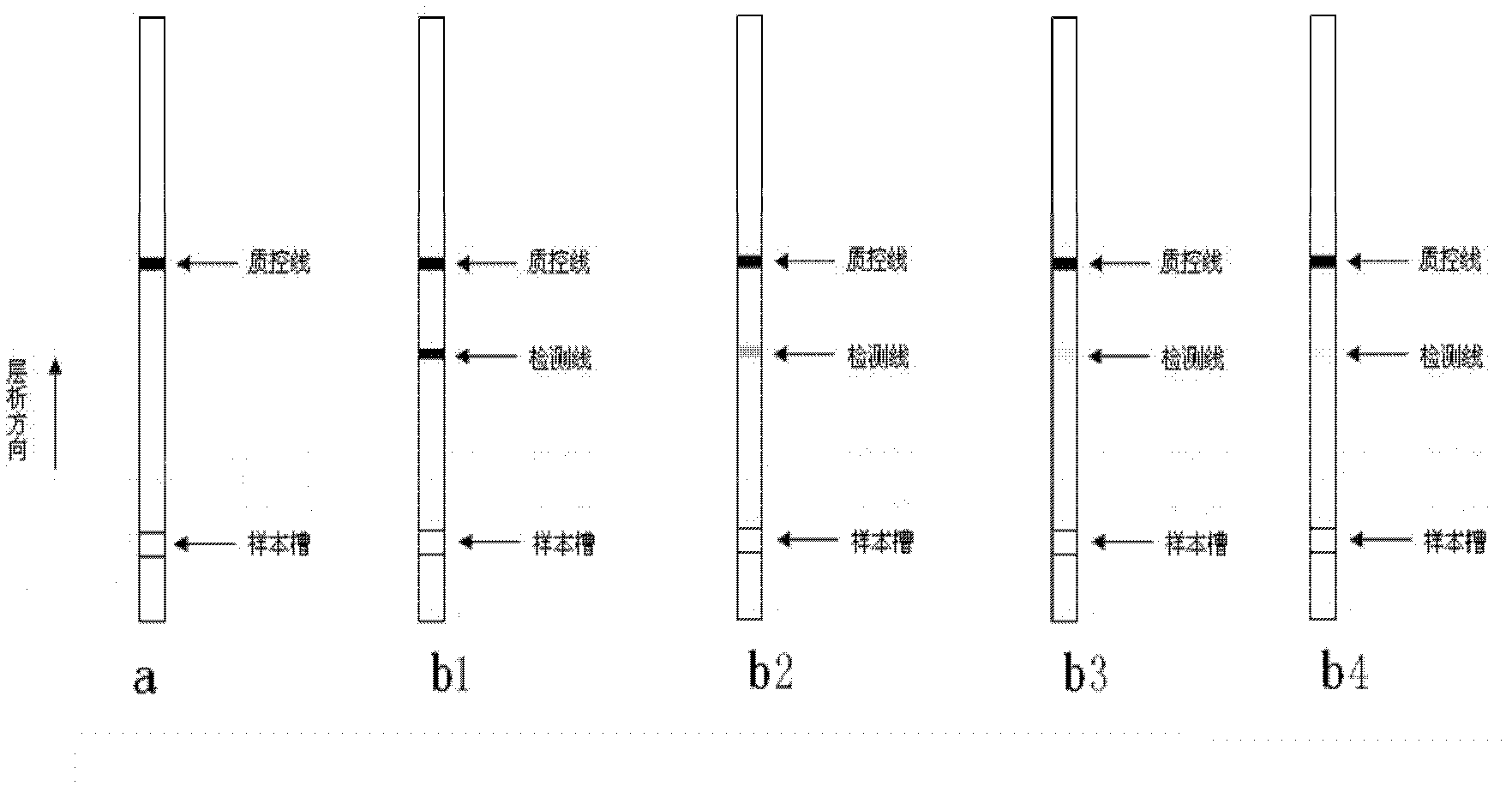 Quantitative detection method of fumonisins B1