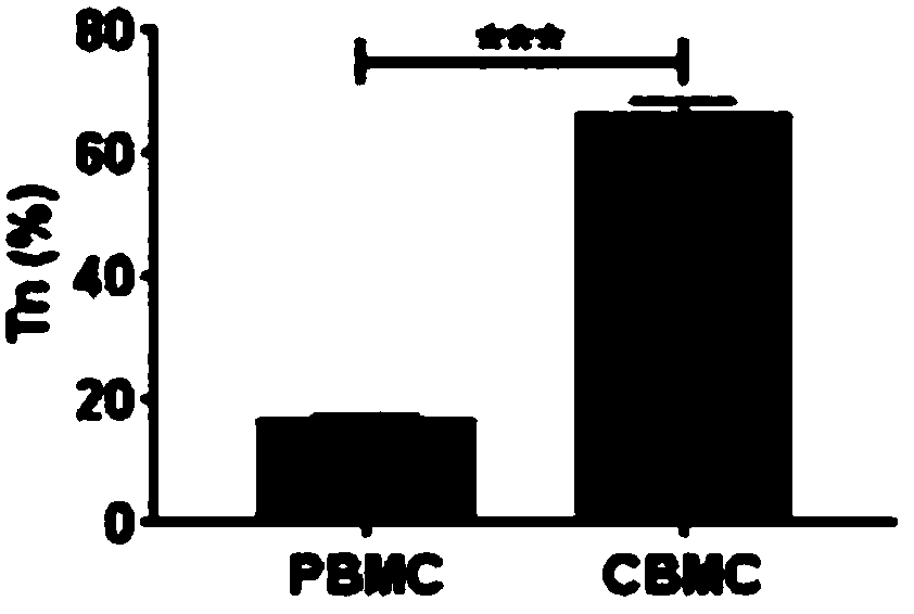 Human Tscm cells and preparation method and application thereof