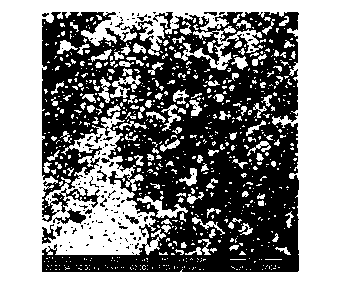 Preparation of high drug loading multifunction nanometer drug with combination treatment effect