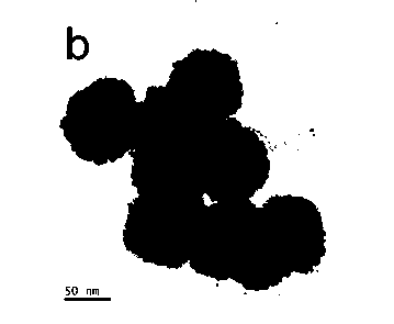 Preparation of high drug loading multifunction nanometer drug with combination treatment effect