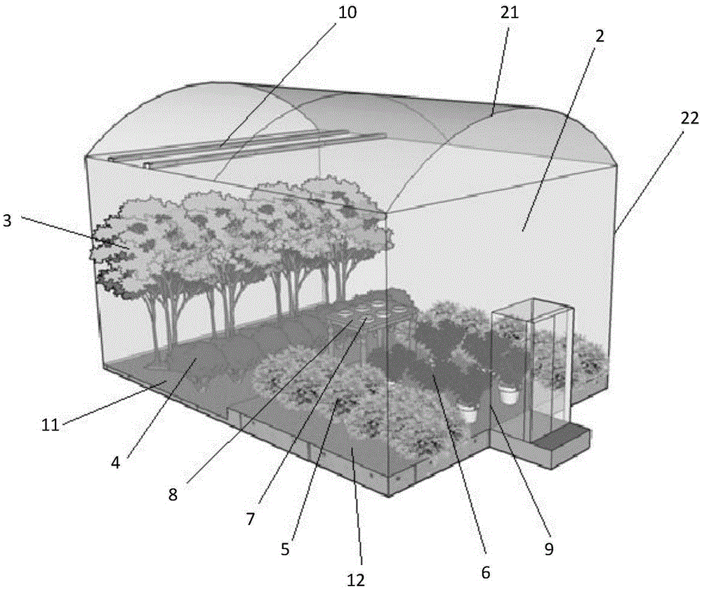 Adult reproduction device of ideopis similis, manufacturing method of adult reproduction device, and reproduction method of ideopis similis