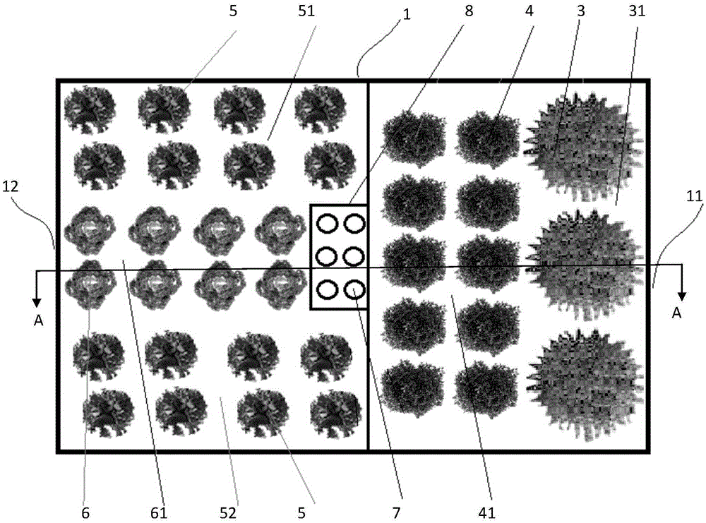 Adult reproduction device of ideopis similis, manufacturing method of adult reproduction device, and reproduction method of ideopis similis