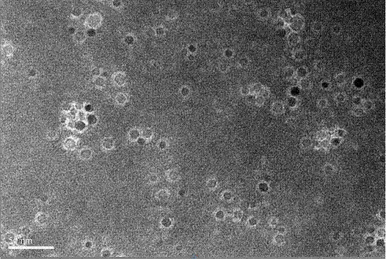 Preparation method, product and application of targeting nanomaterial