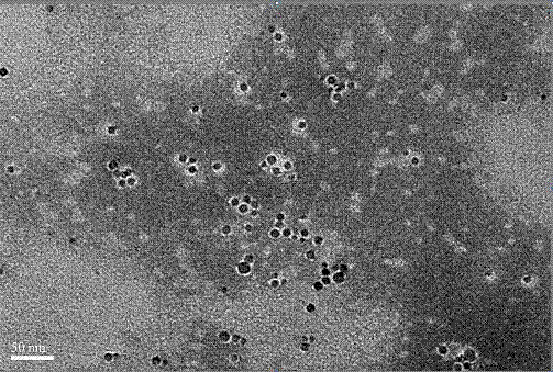 Preparation method, product and application of targeting nanomaterial