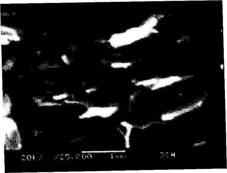 Polyiner/laminate inorganic nano composite material and its milling shearing preparation method