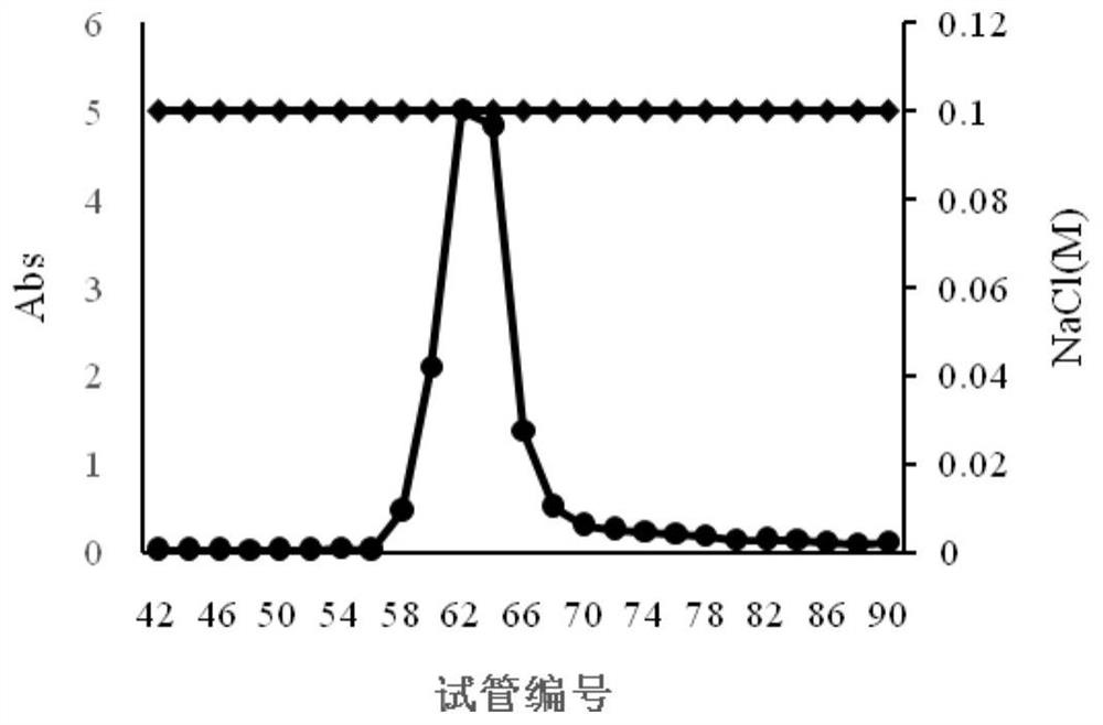 Red ginseng homogeneous polysaccharide and application thereof in preparation of myocardial ischemia injury protection medicine