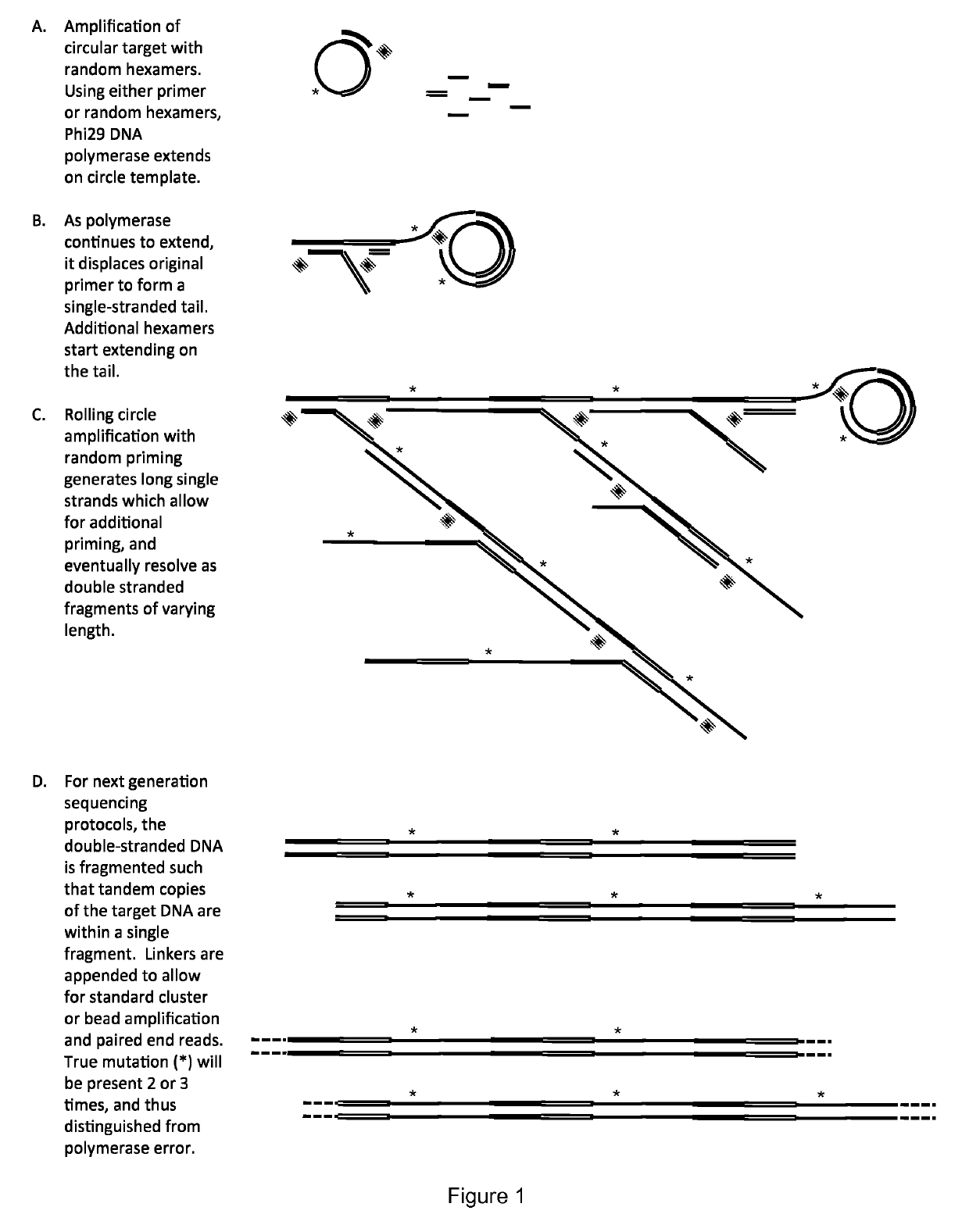 Method for identification and enumeration of nucleic acid sequence, expression, copy, or DNA methylation changes, using combined nuclease, ligase, polymerase, and sequencing reactions