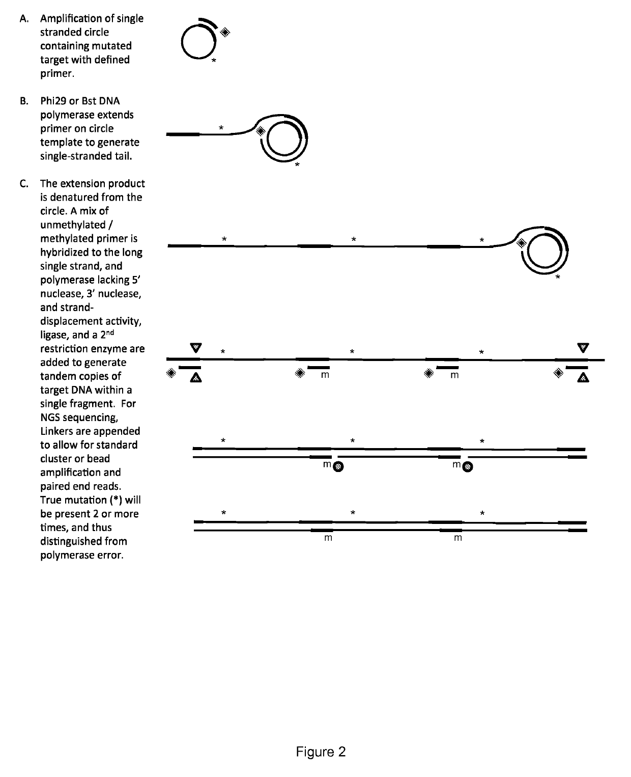 Method for identification and enumeration of nucleic acid sequence, expression, copy, or DNA methylation changes, using combined nuclease, ligase, polymerase, and sequencing reactions