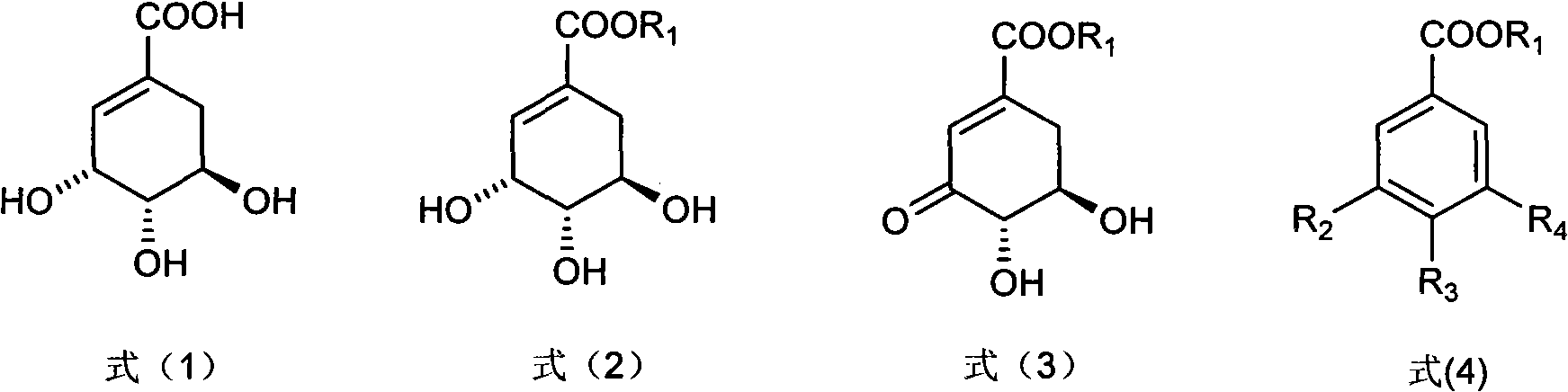 Method for preparing epicatechol gallate and protocatechuic acid ester compounds from natural shikimic acid