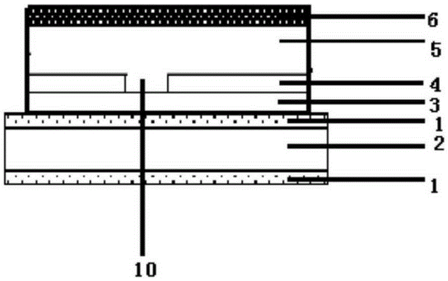 OLED screen body and preparation method thereof