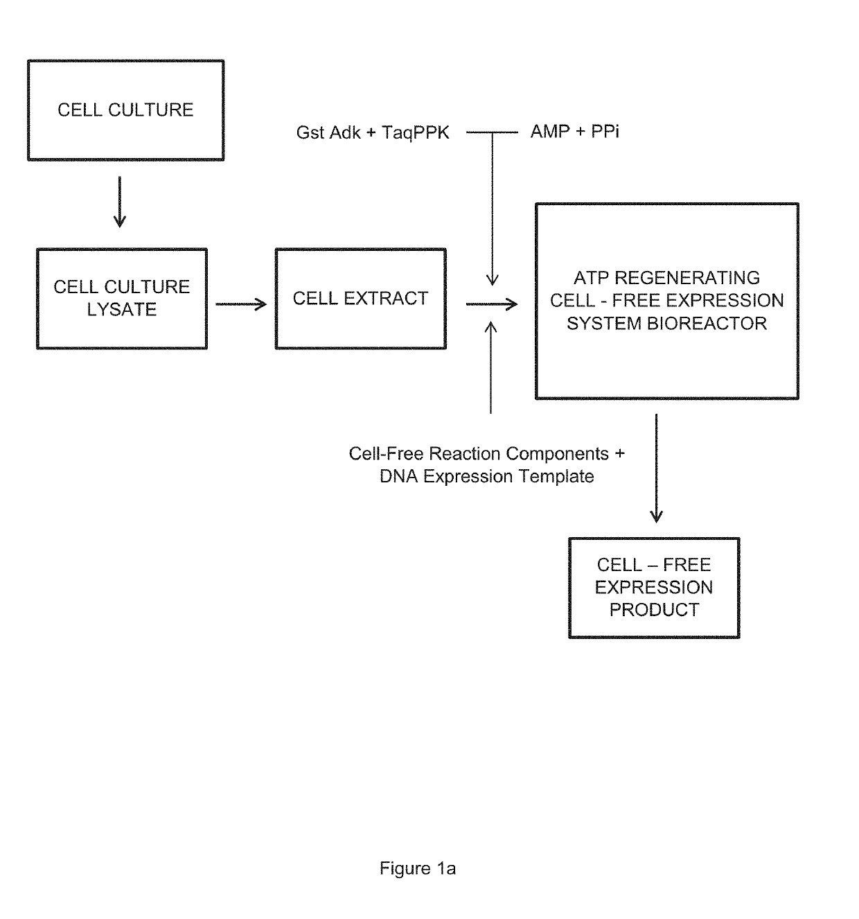 Cell-Free Expression System Having Novel Inorganic Polyphosphate-Based Energy Regeneration