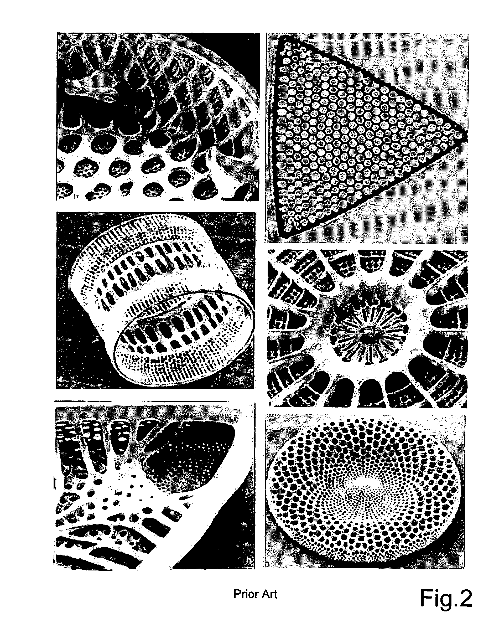 Method of determining structural prototype data for a technical lightweight structure