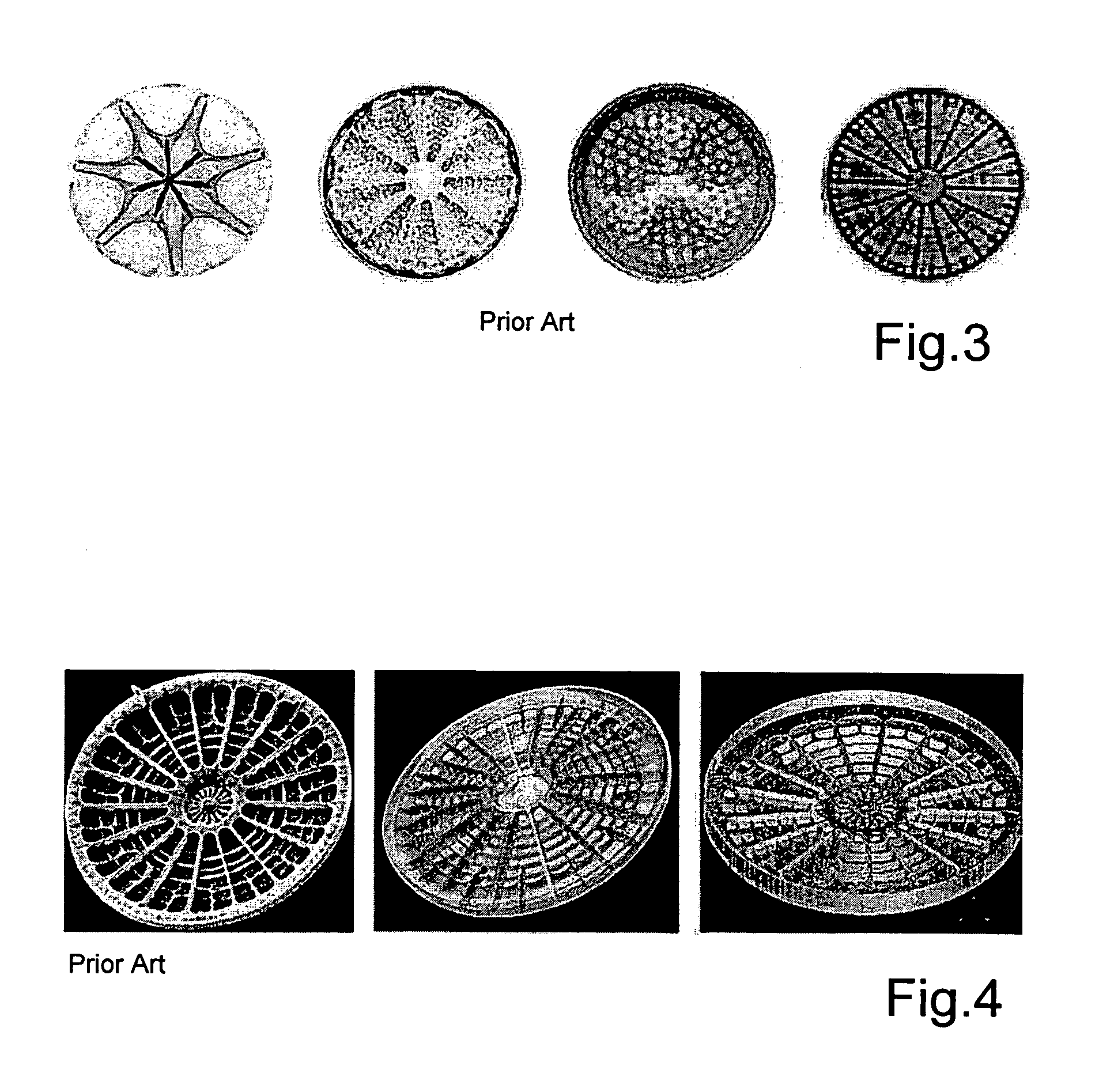 Method of determining structural prototype data for a technical lightweight structure