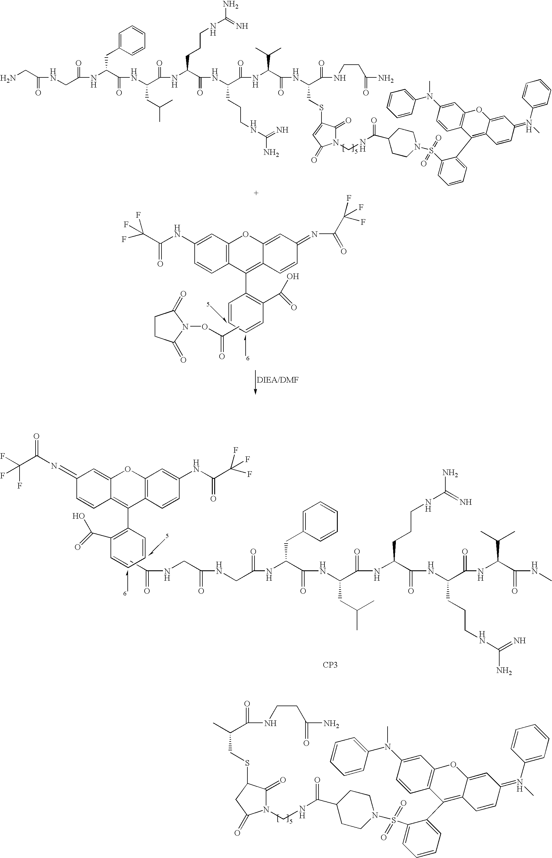 Compounds for the treatment of sexual dysfunction