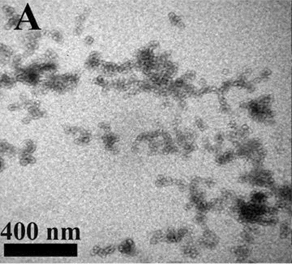 Prussian blue-loaded targeting nanocomposite and preparation method thereof