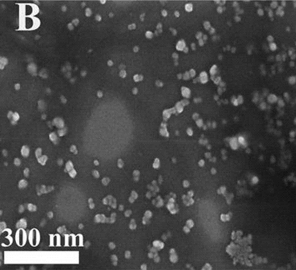 Prussian blue-loaded targeting nanocomposite and preparation method thereof