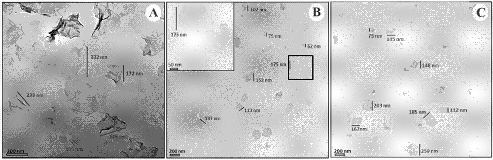 Preparation method, activity and application of GO-PLL-RGDS/VEGF-siRNA targeted gene drug