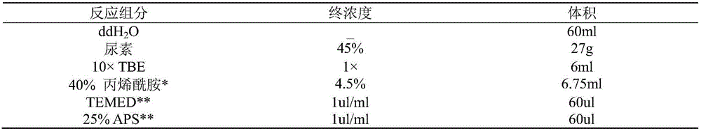 EST-SSR primer group for identifying dendrobium officinale Kimura et migo and dendrobium falconeri hook, preparation method of EST-SSR primer group and application of EST-SSR primer group in species identification