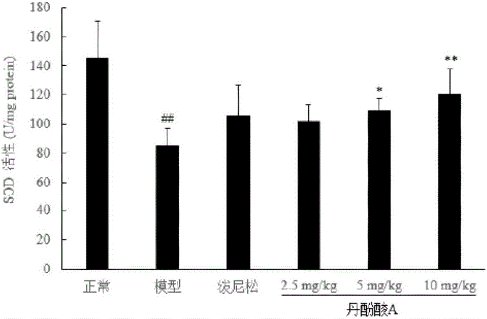 Application of salvianolic acid a alone or in combination with multiple drugs in the preparation of medicines for treating nephrotic syndrome