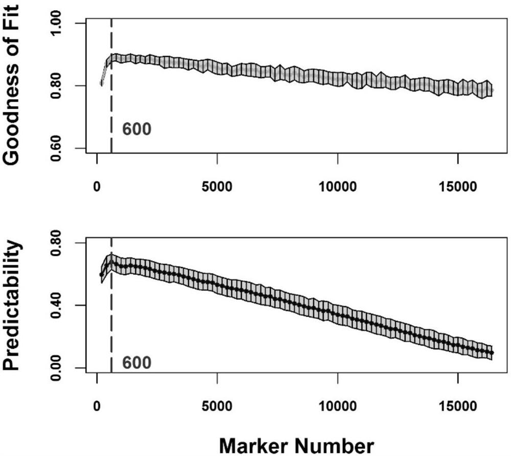 Breeding method of large yellow croaker resistant to irritating Cryptocaryoniasis based on genome-wide selection