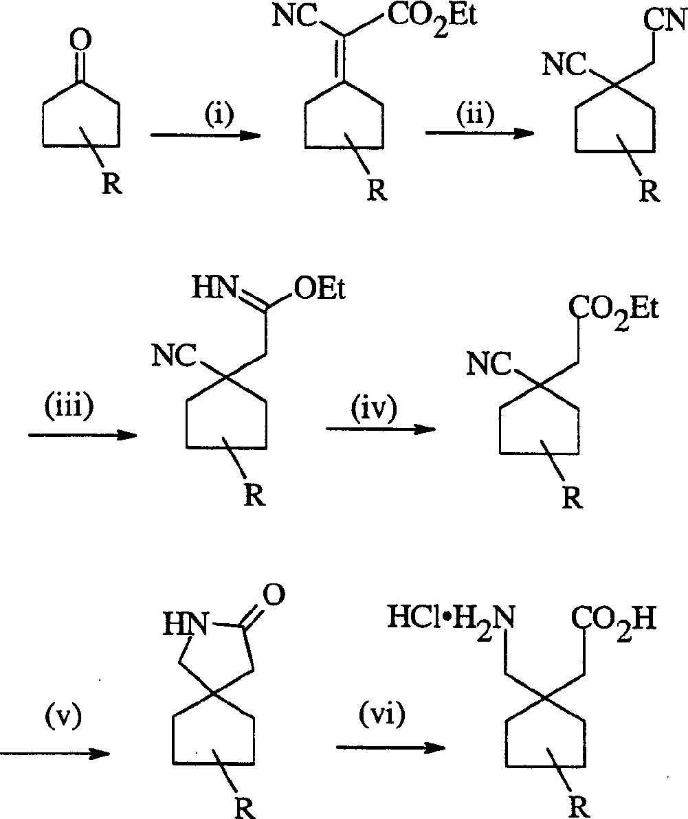 Gabapentin analogues for fibromy algia and other disorders