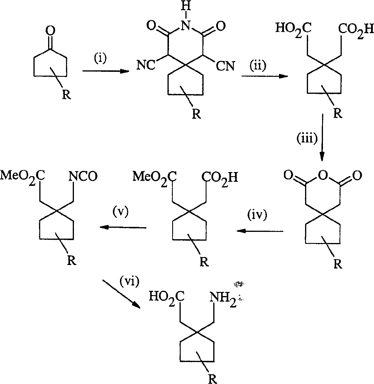 Gabapentin analogues for fibromy algia and other disorders