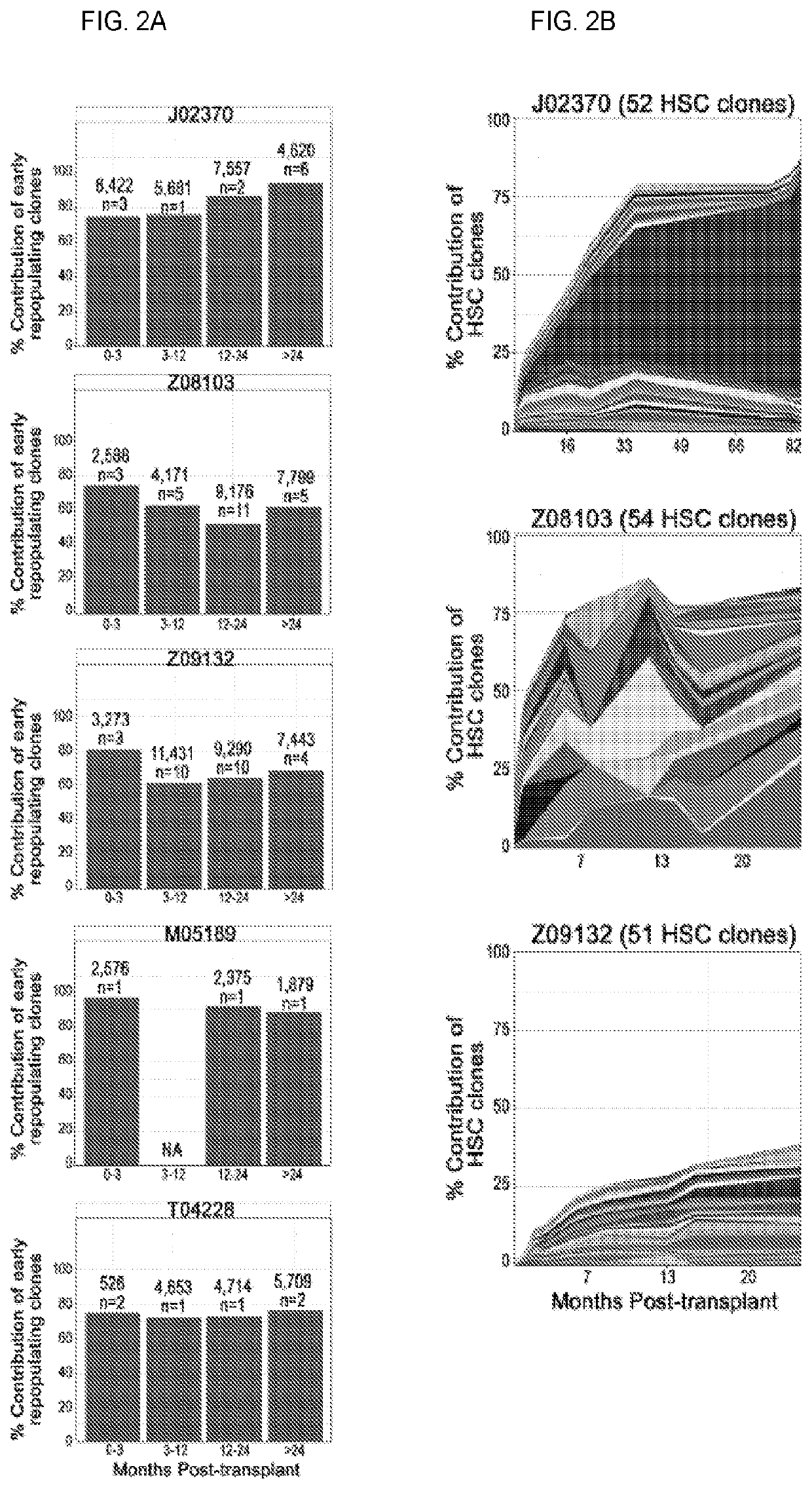 Strategies to assess and/or produce cell populations with predictive engraftment potential