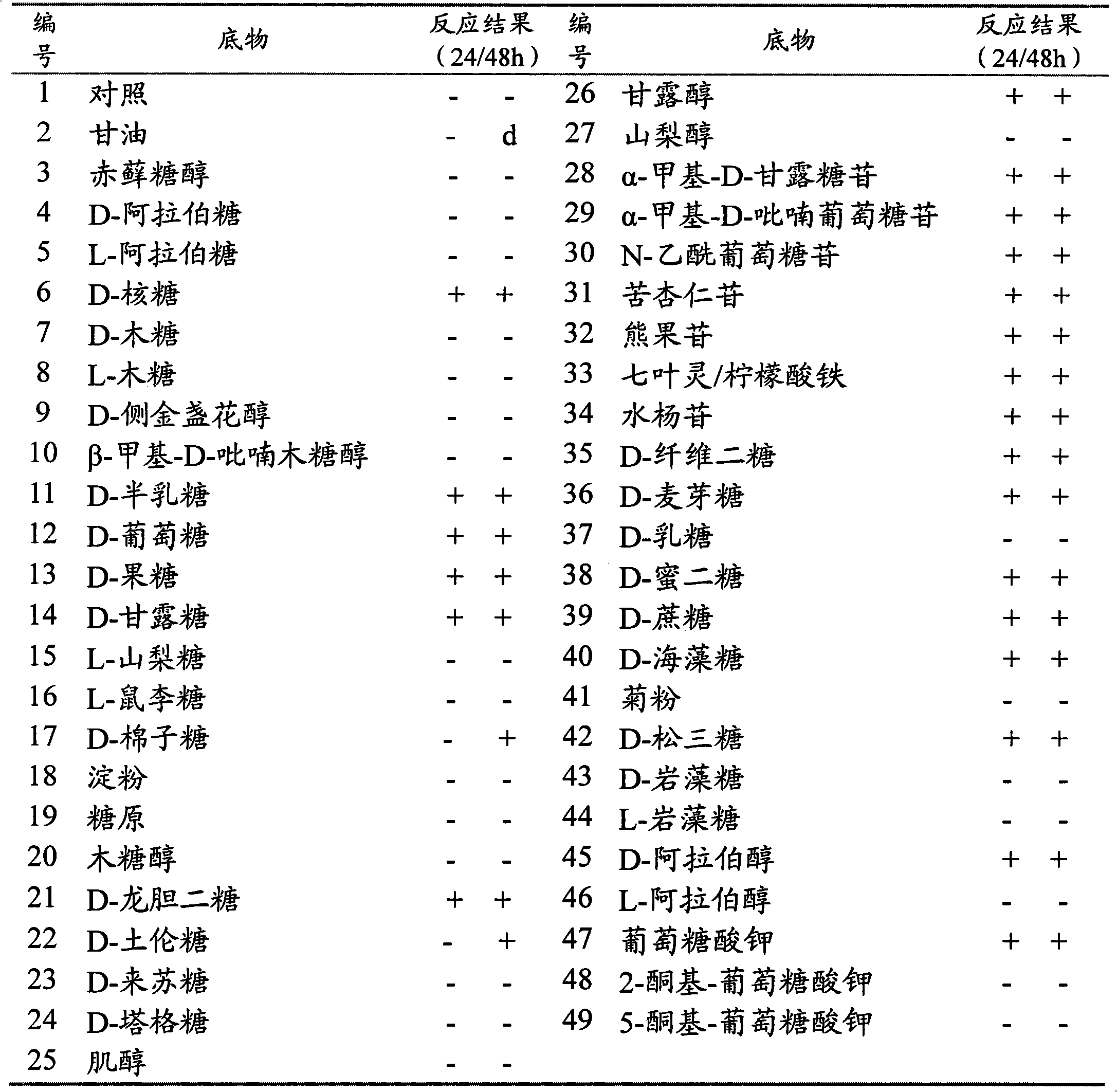 Lactobacillus plantarum strain and application thereof