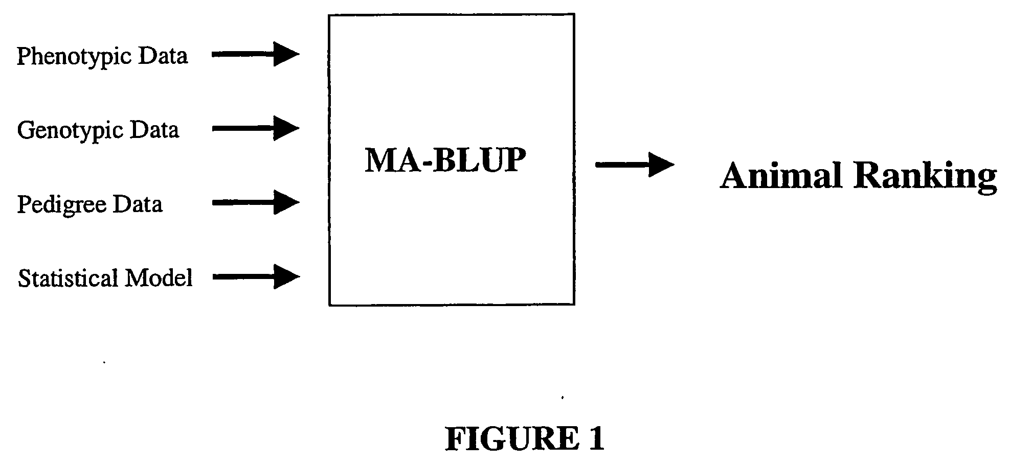 Marker assisted best linear unbiased prediction (ma-blup): software adaptions for large breeding populations in farm animal species