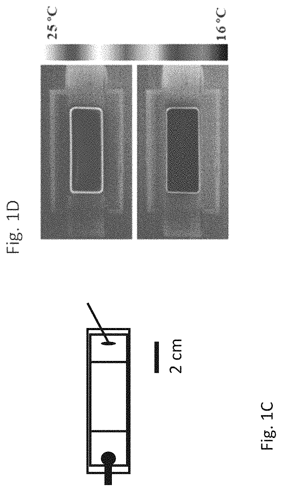 Electrocaloric cooling with electrostatic actuation