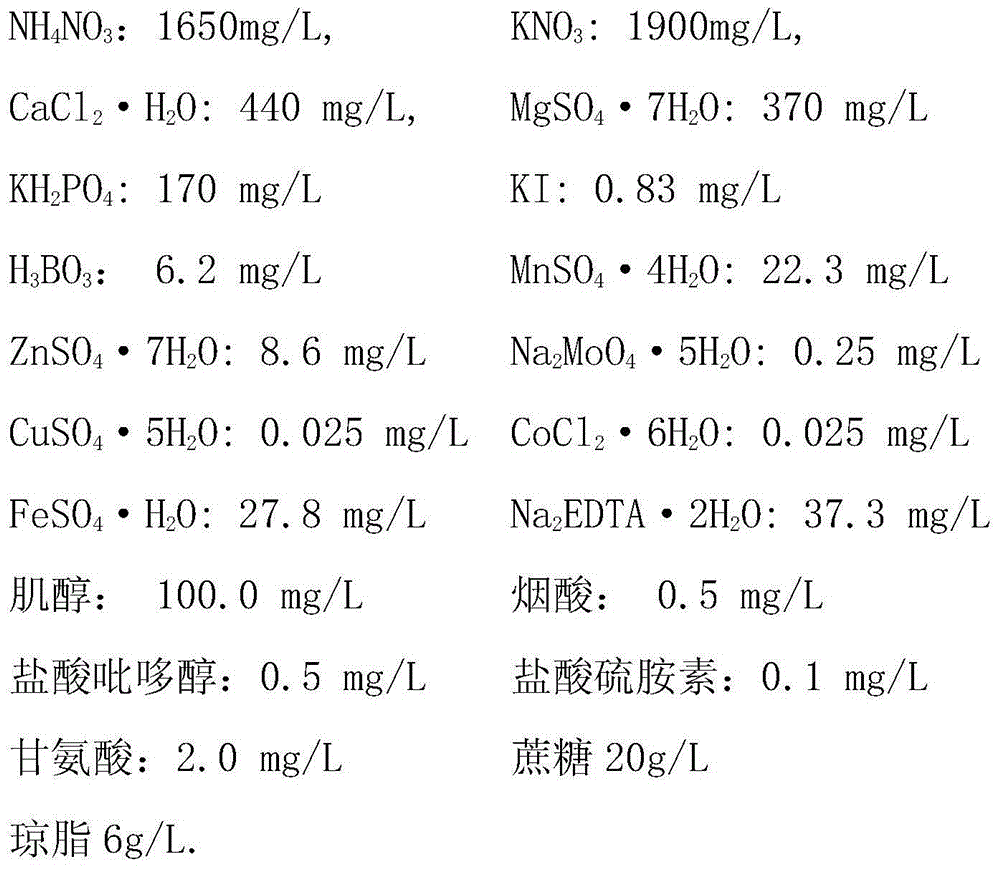 Culture medium for in vitro fast growth of dendrobium officinale