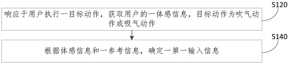 Input information determination method and device