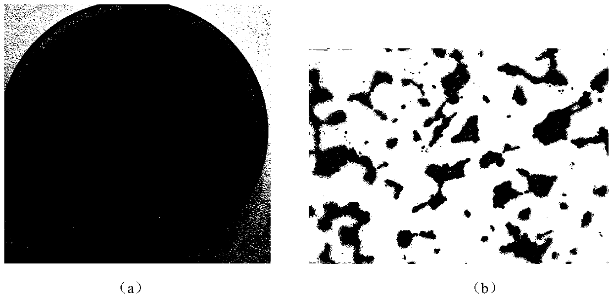 Lactobacillus plantarum S58 and application thereof in preparation of products for relieving obesity