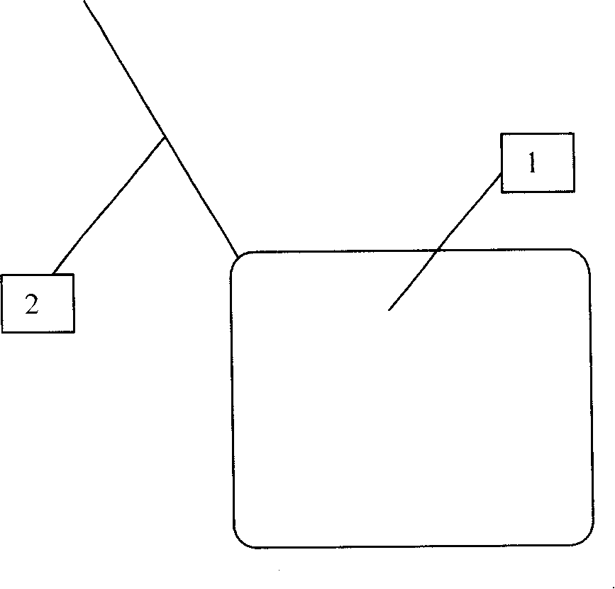 Water bottle scale removal device