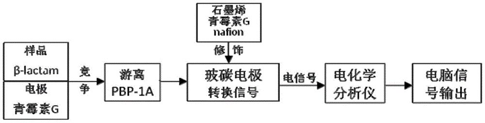 pbp-1a affinity type β-lactam antibiotics electrochemical biosensor and preparation method and application thereof