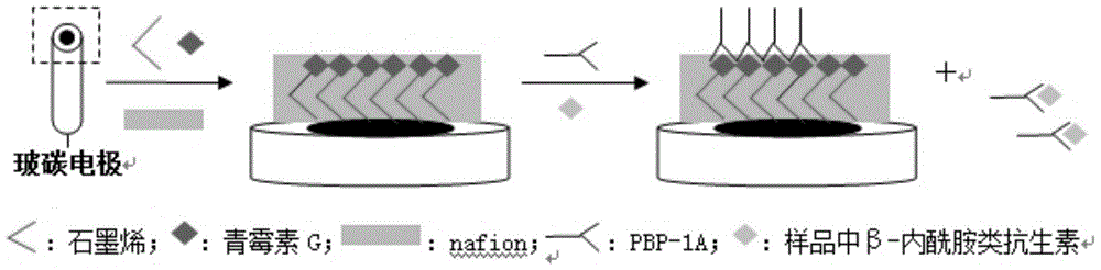 pbp-1a affinity type β-lactam antibiotics electrochemical biosensor and preparation method and application thereof