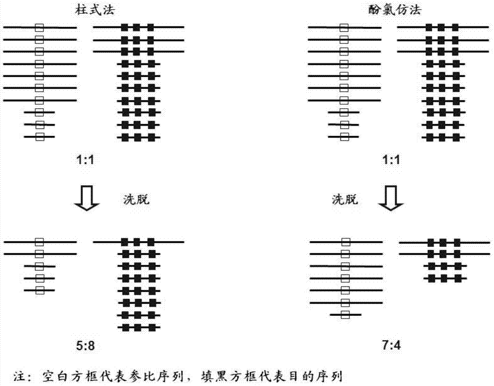 Fluorescent quantitative PCR (Polymerase Chain Reaction) kit for diagnosing human spinal muscular atrophy