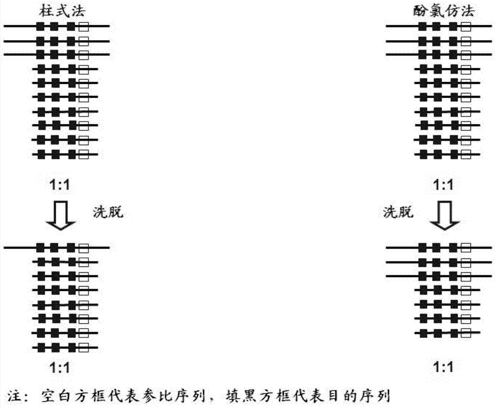 Fluorescent quantitative PCR (Polymerase Chain Reaction) kit for diagnosing human spinal muscular atrophy