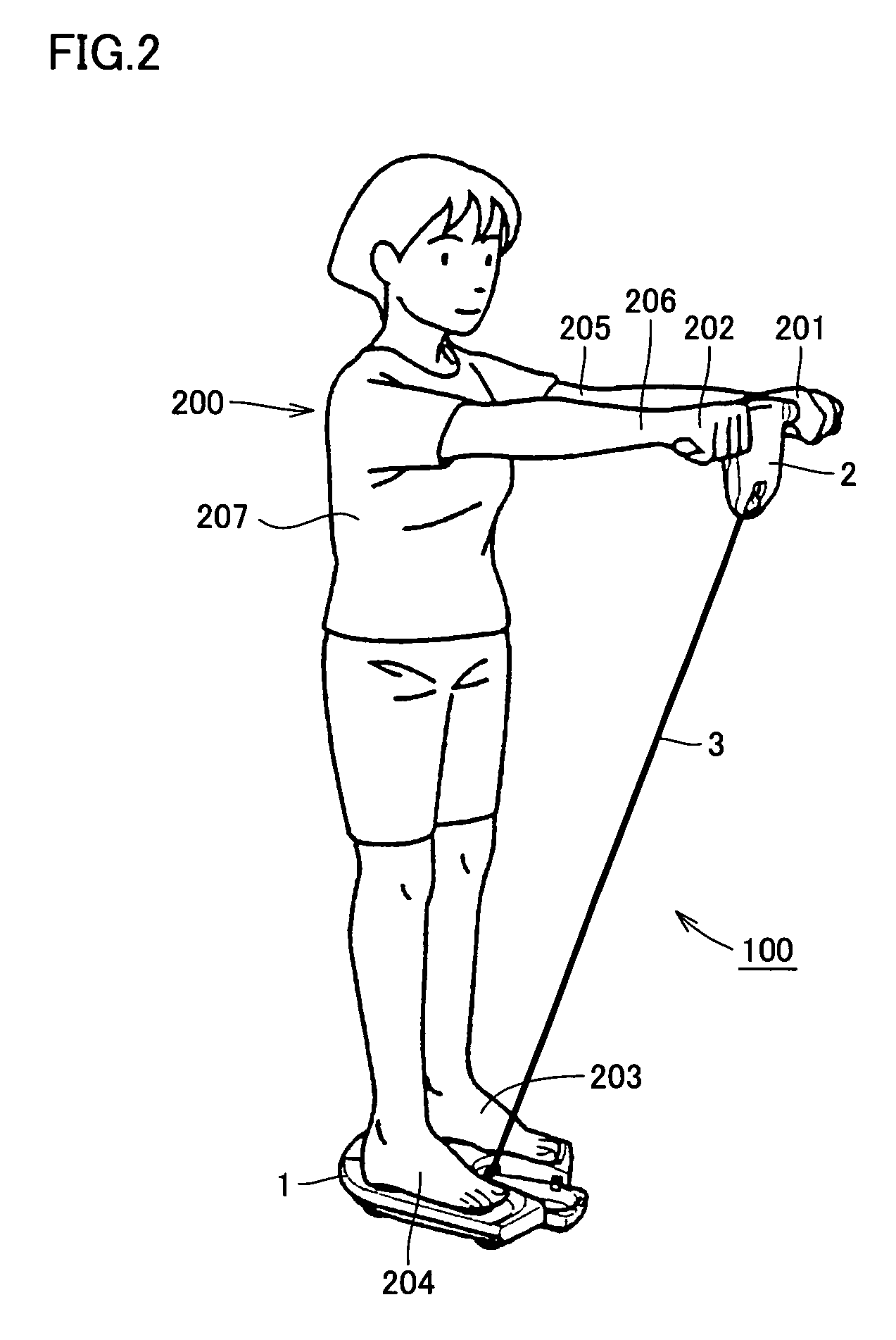 Body composition measuring apparatus