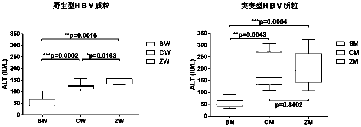 Method for constructing hepatitis B virus (HBV) infected mouse model