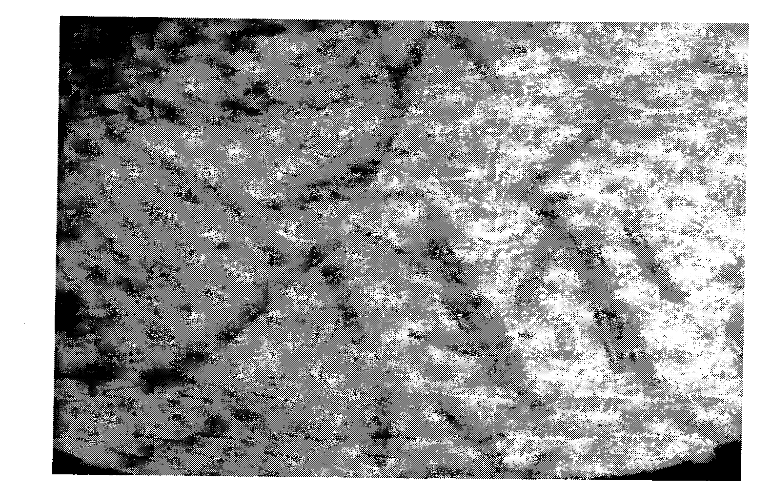 Antiviral biopesticide sourcing from Eupatorium adenophorum spreng and preparation method thereof