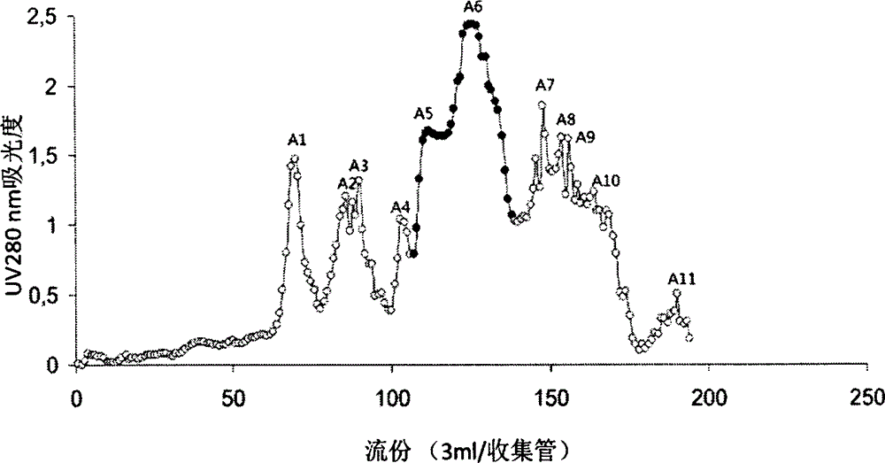 Preparation technology of interventional thrombolytic biological product namely urechis unicinctus plasmin