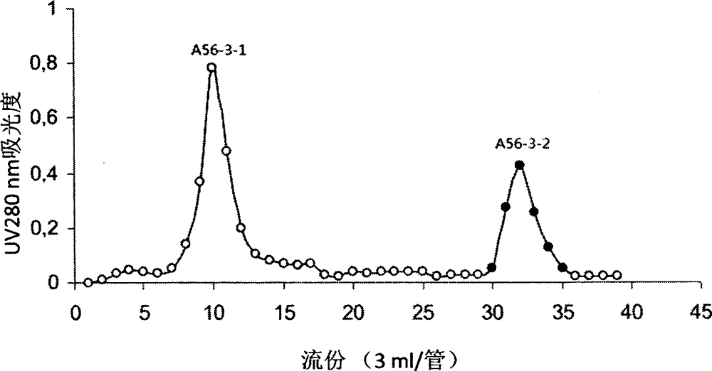 Preparation technology of interventional thrombolytic biological product namely urechis unicinctus plasmin