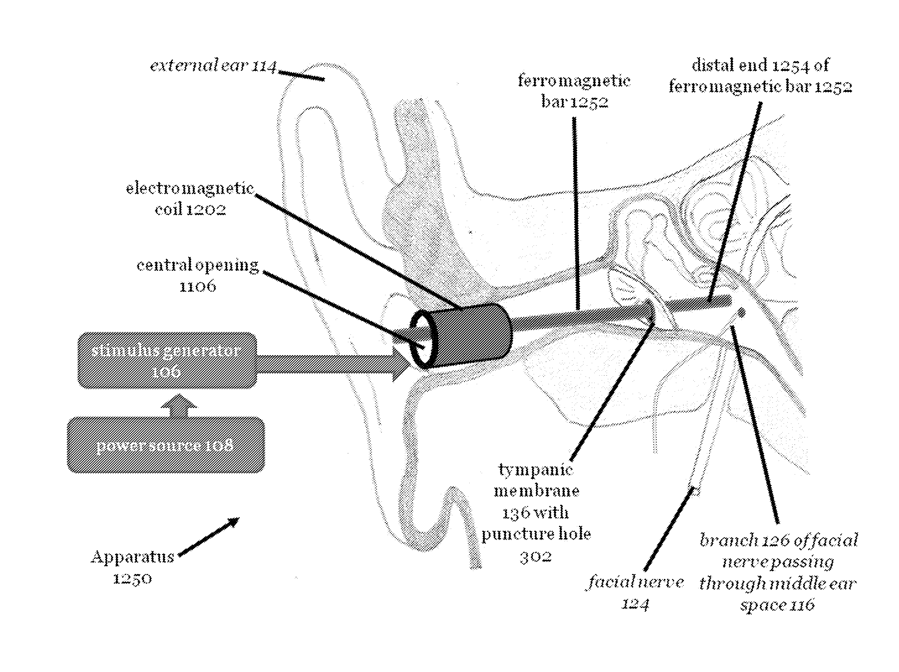 Modulating function of the facial nerve system or related neural structures via the ear