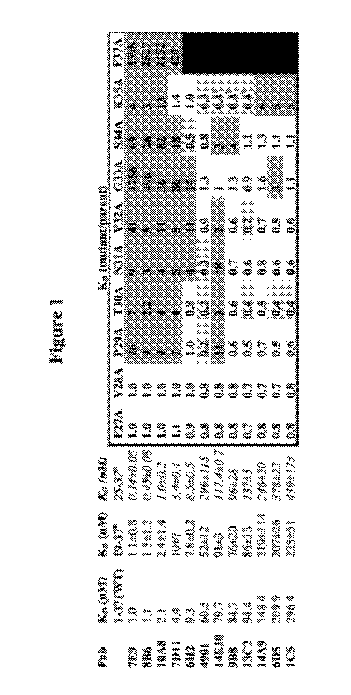 Antagonist antibodies directed against calcitonin gene-related peptide and methods using same