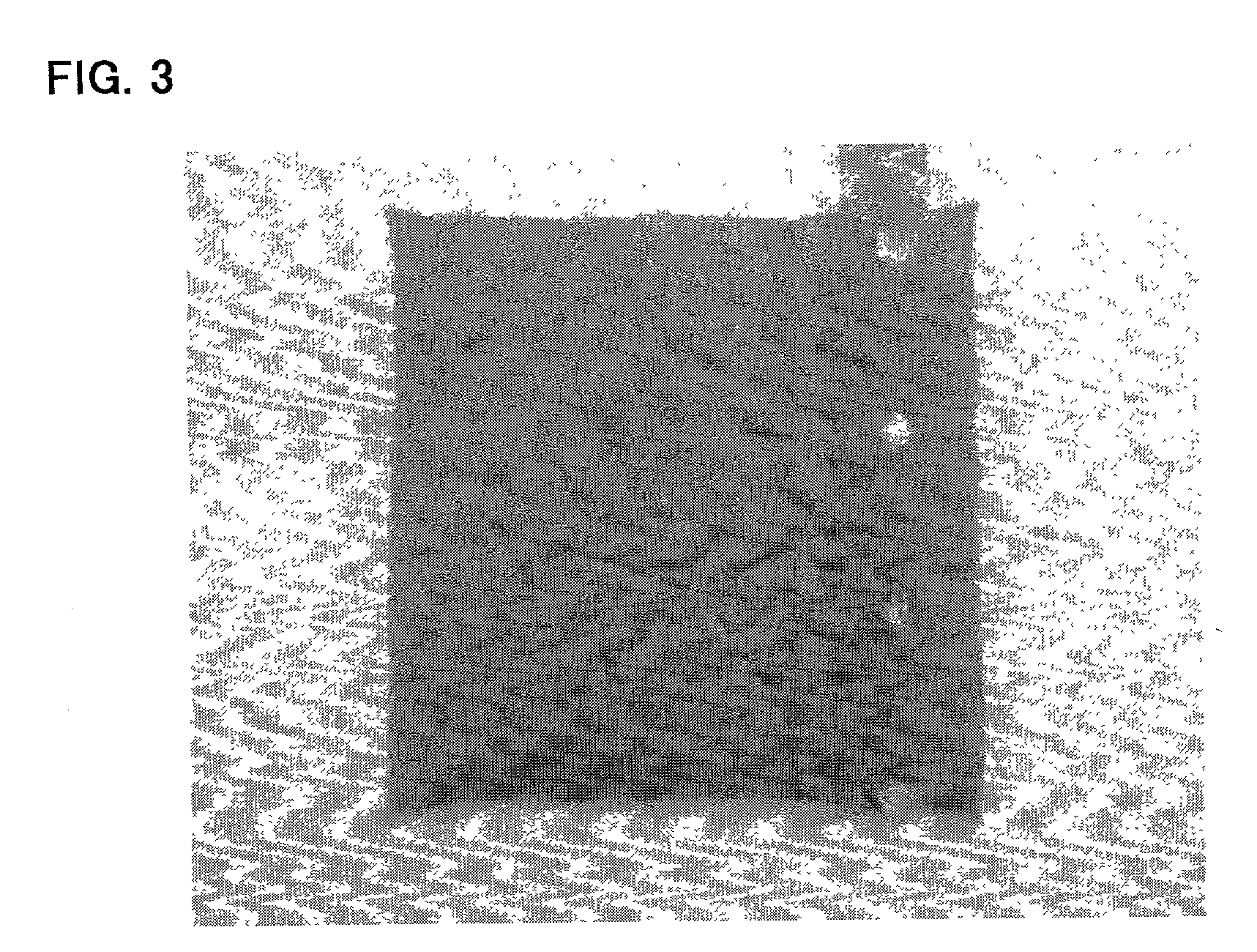 Electrode for rechargeable lithium battery and rechargeable lithium battery